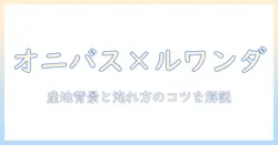 オニバスとルワンダのコーヒーを味わう—産地背景と淹れ方のコツを解説