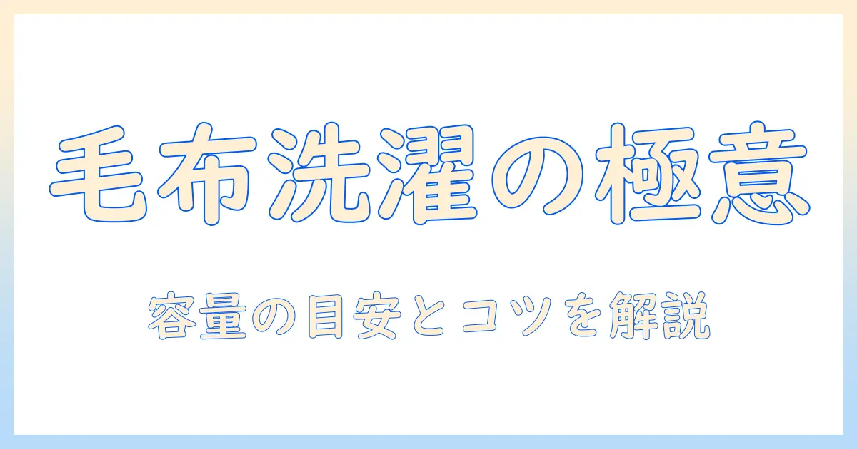 毛布を洗うときの洗濯機の容量は何キロ？毛布を洗うコツと正しい洗濯機の使い方