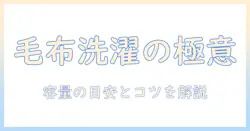 毛布を洗うときの洗濯機の容量は何キロ？毛布を洗うコツと正しい洗濯機の使い方