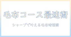 シャープの洗濯機で毛布コースの時間を短縮するコツと使い方