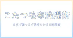 ニトリのこたつ毛布の洗濯方法と選び方