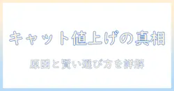 キャットフードの値上げはなぜ起こるのか?原因と賢い選び方