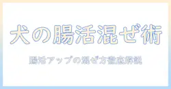 ドッグフードにヨーグルトを混ぜる安全性とコツ|愛犬の腸活をサポートする具体的な方法