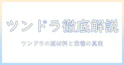 オリジンのキャットフード『ツンドラ』徹底ガイド:特徴・選び方・実際の口コミ