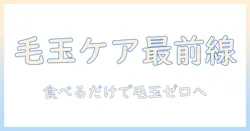 キャットフードで毛玉ケアを実現!おすすめの選び方と人気商品ガイド