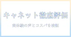 キャットフード選びの新基準:キャネットの評判を徹底検証