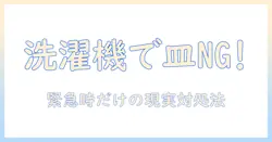 洗濯機で皿を洗うべき?ない場合の対処法と注意点