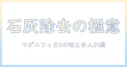 デロンギのコーヒーを極める:マグニフィカ s の石灰 除去とメンテナンス、コーヒー メーカー選びのポイント