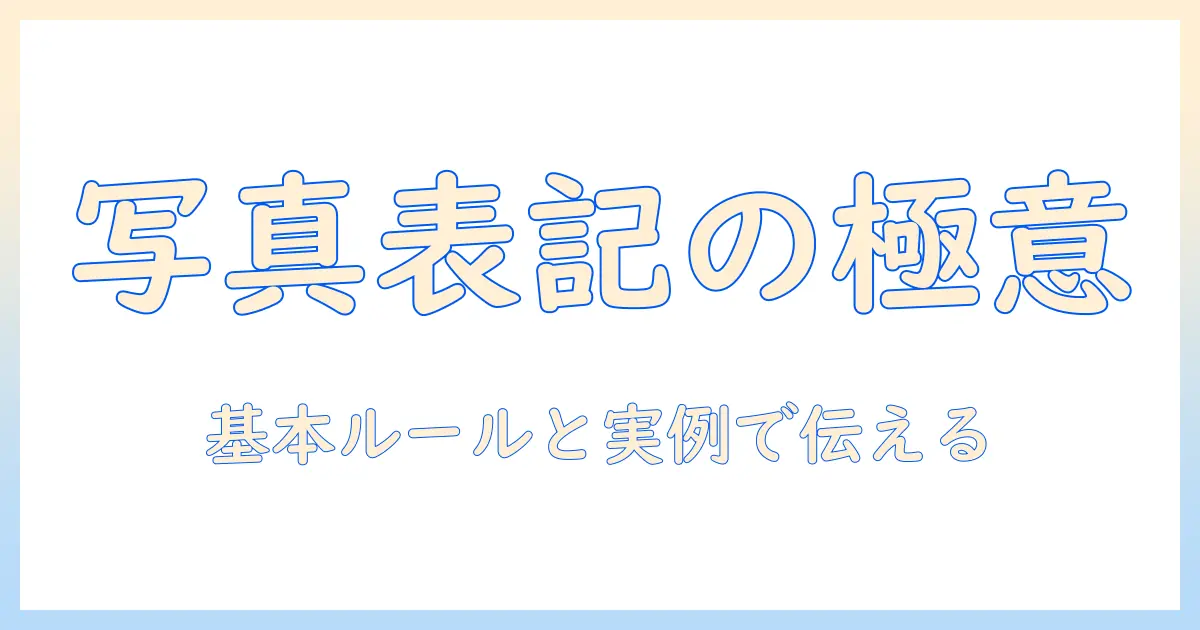 写真のクレジット表記の例と基本ルール：正しい表記で伝えるコツ
