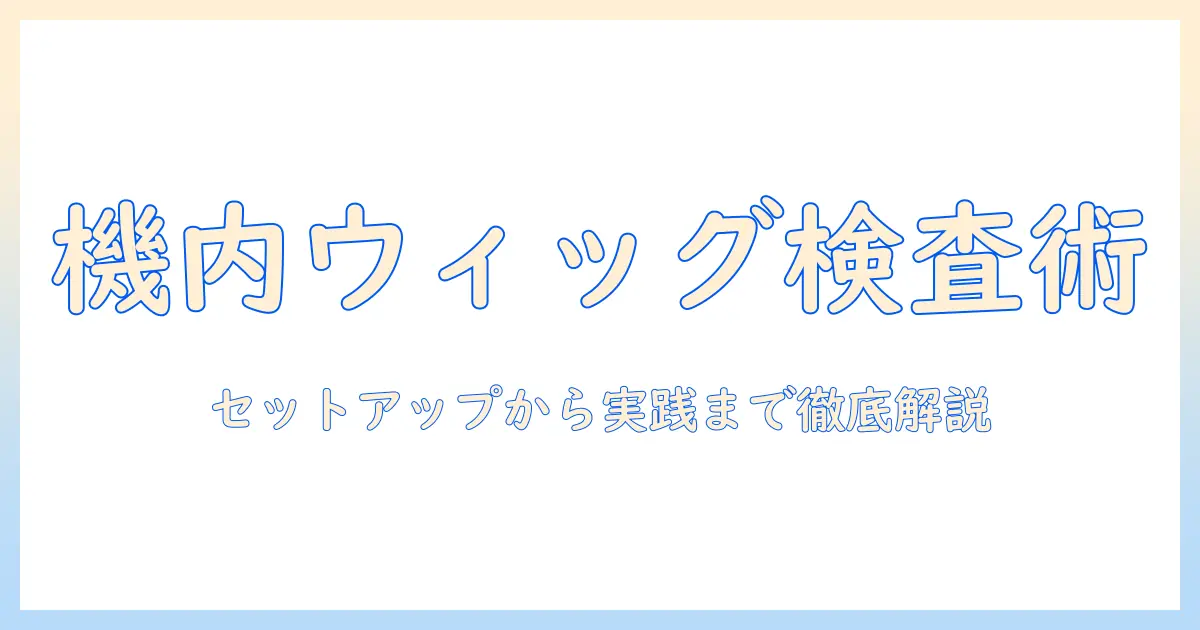 ウィッグを着けたまま飛行機に搭乗する時の保安検査対策｜初心者向けガイド