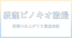 写真館ピノキオ荻窪店のレビュー徹底ガイド：実際の仕上がりと口コミをチェック
