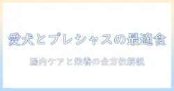 マイとプレシャスのドッグフードを徹底解説:愛犬の健康を守る最適な選び方と購入ガイド