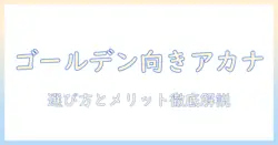 アカナのドッグフードはゴールデンレトリバーに最適?選び方とメリットを徹底解説