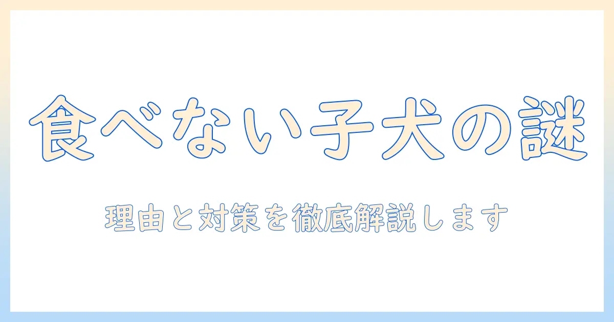 子犬がドッグフードを食べないとき、おやつは食べるのにどう対応する?理由と対策
