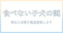 子犬がドッグフードを食べないとき、おやつは食べるのにどう対応する？理由と対策