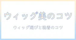 ウィッグ つけ 毛の美しさを引き出すコツ—ウィッグ かつら選びと使い方の完全ガイド