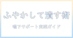 ドッグフードをふやかして潰す方法と注意点｜嚥下が難しい犬のための実践ガイド