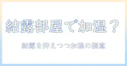 結露する部屋で加湿器を使うべき？結露対策と正しい加湿のコツをわかりやすく解説