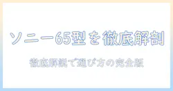 ソニーの65インチ有機ELテレビを徹底解説：テレビ選びのポイントとおすすめモデル