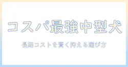 中型犬の飼い主が選ぶコスパ抜群のドッグフードガイド