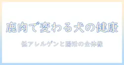 ドッグフードに鹿肉を使う効果とは?犬の健康を高める理由と選び方
