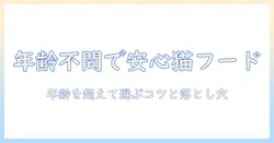 キャットフード 全 年齢 対応を実現するポイント—年齢別の選び方と注意点
