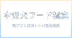 中型犬のためのドッグフードとワイルドレシピ徹底ガイド