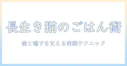 老猫のキャットフードとふやかし方の完全ガイド:歯と嚥下をサポートする実践テクニック