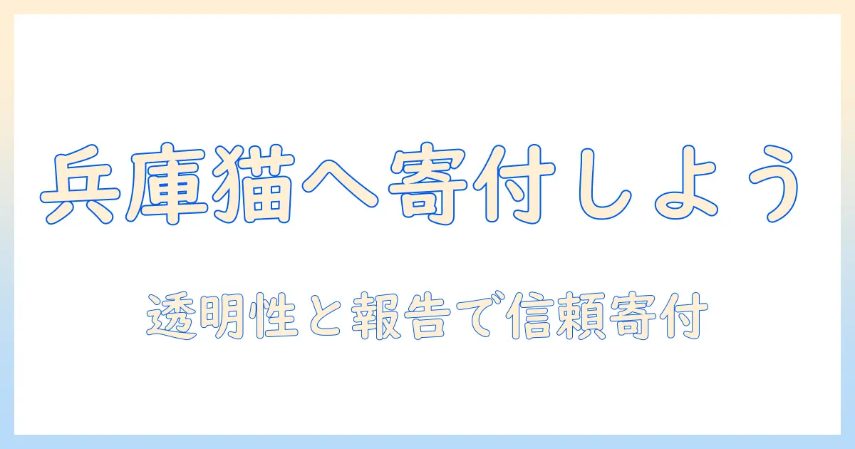 兵庫でキャットフードを寄付する方法と寄付先ガイド