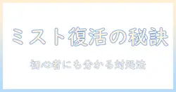 fireeggの加湿器でミストが出ないときの原因と対処法を解説|初心者にもやさしいガイド