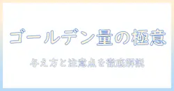 ゴールデンレトリバーのドッグフードの量を徹底解説—適切な与え方と注意点