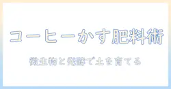 コーヒー かす 米ぬかを使った肥料の作り方|家庭菜園を始める人のためのガイド