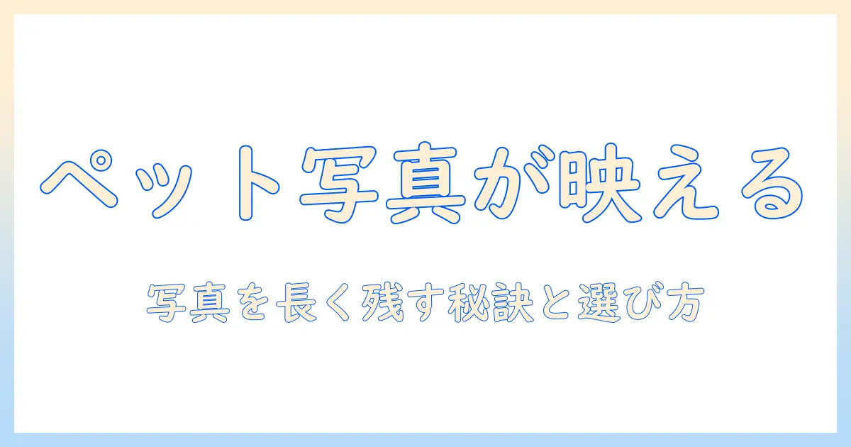 ペット 写真 アクリル キーホルダーの作り方と選び方｜写真を長く残す記念アイテム