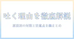 キャットフードが吐く理由とは？原因別の対策と注意点