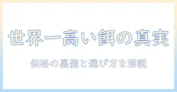 世界 一 高い キャットフードの真実と選び方