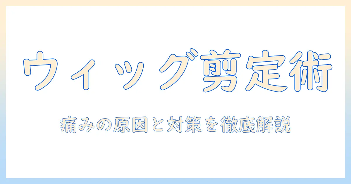 ウィッグカットをハサミで上手に：痛む原因とダメージを防ぐ実践ガイド