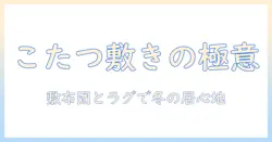 ラグ・敷物の選び方｜ニトリのこたつに合わせる敷き布団で作る、冬の快適リビング