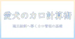 犬のドッグフードのカロリーを計算する方法|愛犬の適正給餌量を決めるための基礎知識