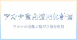 アカナのキャットフードでインドア猫を健康に育てる方法