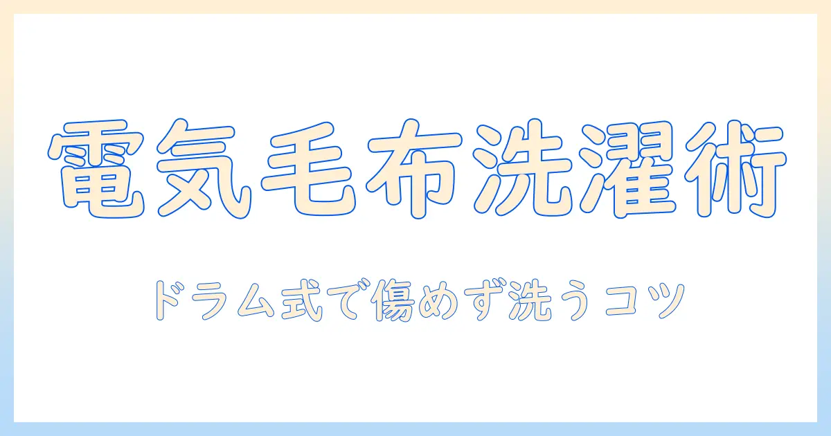 電気毛布をドラム式洗濯機の毛布コースで洗う方法と注意点