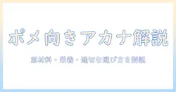 アカナのドッグフードはポメラニアンに合うのか?成分・栄養・選び方を解説