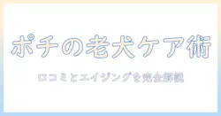 pochi ザ ドッグフードで探すエイジングケアと口コミ｜主婦が選ぶケアのポイント