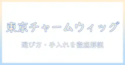 東京チャームワインディングウィッグとは？特徴と選び方・使い方・ケア方法を徹底解説