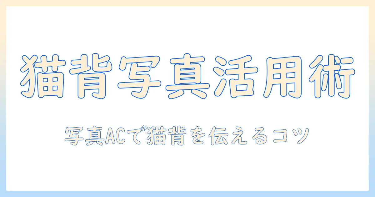 写真 ac 猫背を解説:写真ACで猫背写真を活用する方法