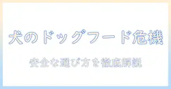 犬のドッグフードは良くない理由と安全な選び方
