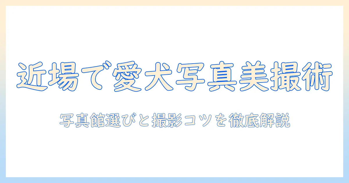 犬 写真館 近くで愛犬の写真を美しく撮るコツと写真館の選び方