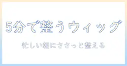 ウィッグのボサボサを直す!忙しい日でもできる簡単ケア術