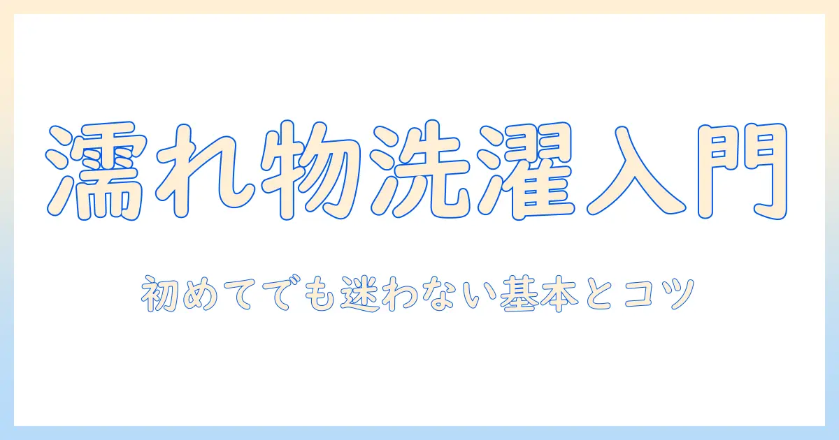 洗濯機で濡れたもの入れるときの基本と注意点—初めての人にも分かる使い方ガイド