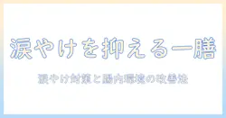 一膳のドッグフードで涙を抑え、やけを予防する方法