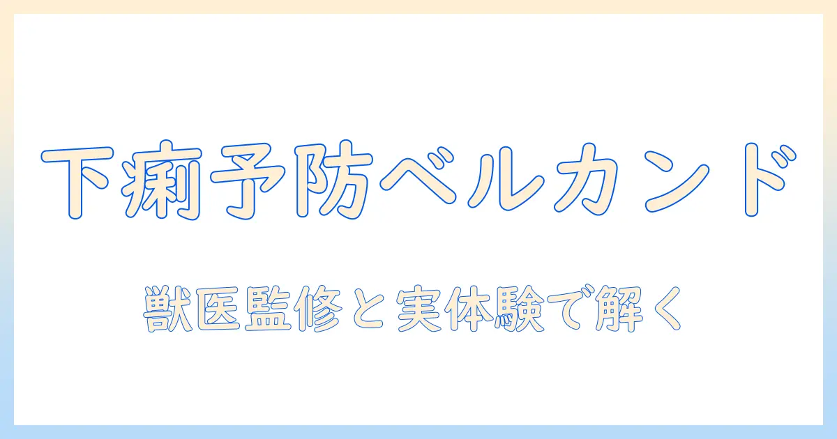 ベルカンドのドッグフードはパピーの下痢を防ぐのか？選び方と注意点を徹底解説